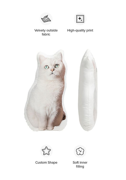 Custom Pet Pillow