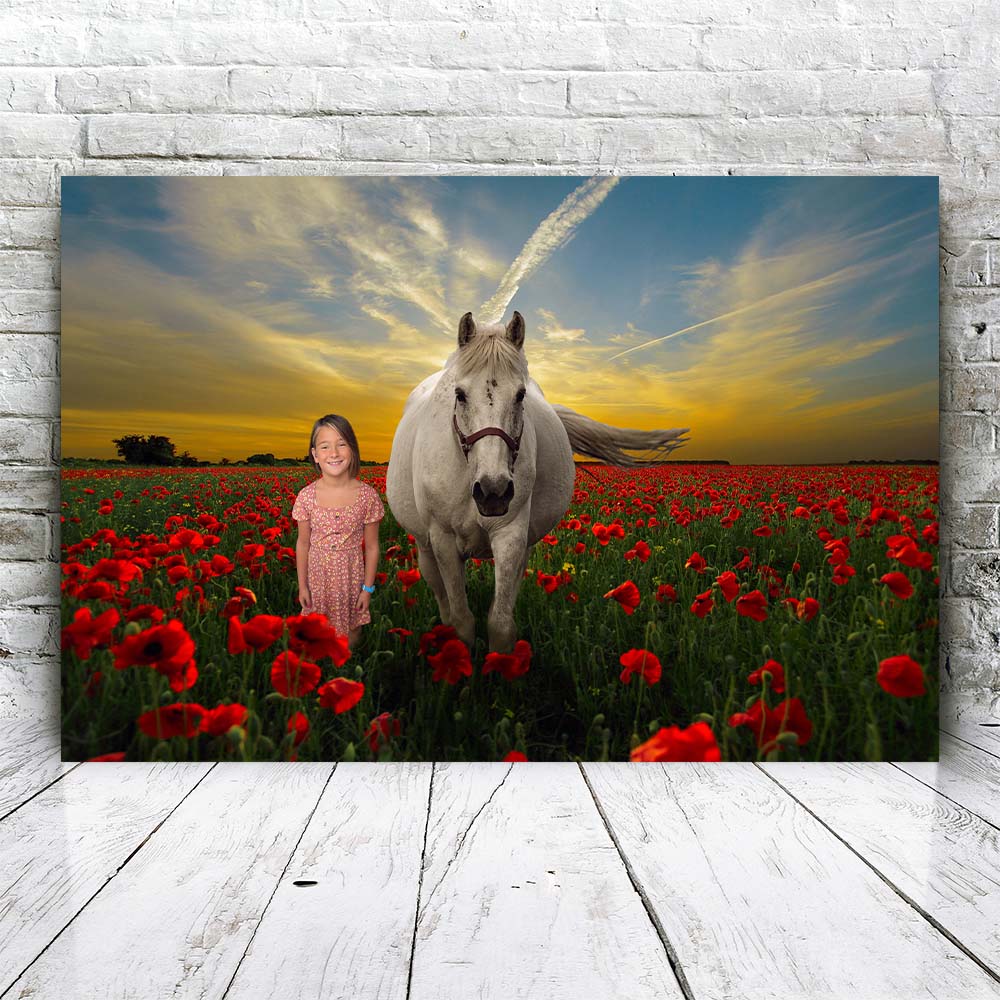 Horse in Flower Field